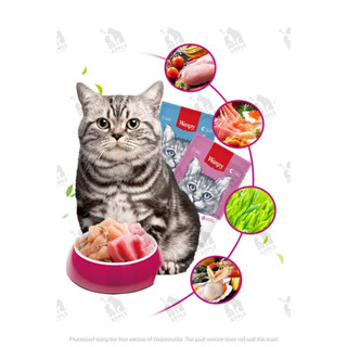 Pate cho mèo mọi lứa tuổi Wanpy gói 80gram