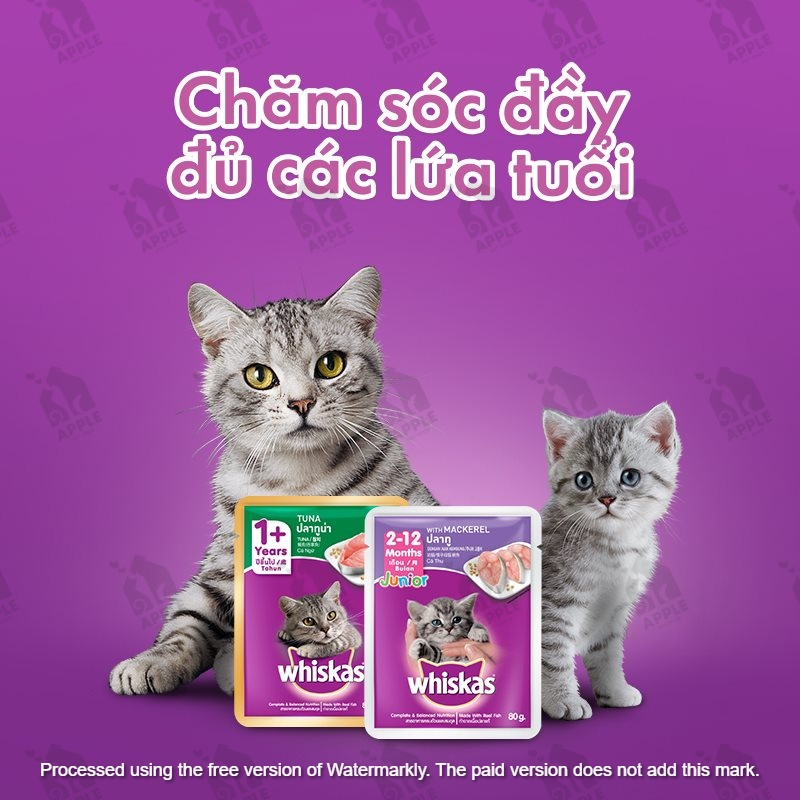 Pate cao cấp cho mèo Whiskas - Đủ mùi vị.