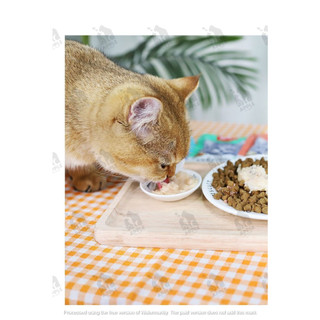 Pate cho mèo mọi lứa tuổi Wanpy gói 80gram