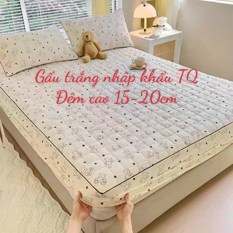 Bộ ga gối 3 Món Cotton đũi dệt bông xơ đậu lành ga gối trần bông đũi cotton, kèm 2 vỏ gối size 40*60