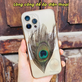 Lông công để ốp điện thoại mắt đẹp, không rách, đã tuyển chọn