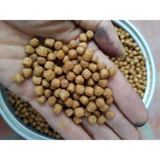 1kg Cám Cá Cargill Siêu Đạm Dùng cho Cá Chép , Cá Koi , làm Mồi Câu Cá Siêu Dính