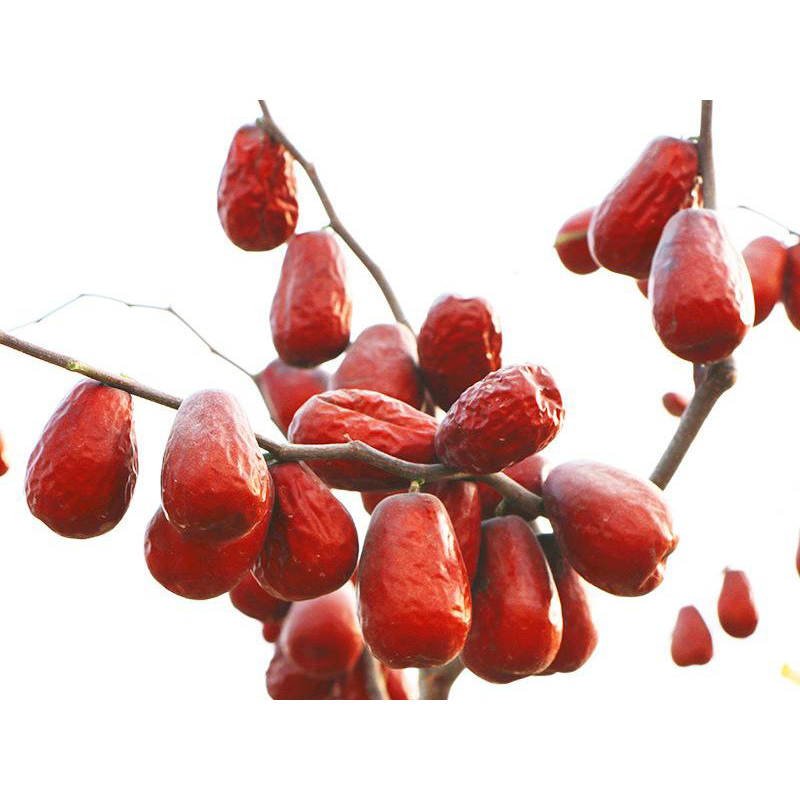 🍎🍎🍎TÁO ĐỎ HỮU CƠ HÒA ĐIỀN - TÂN CƯƠNG loại 1 túi 500g