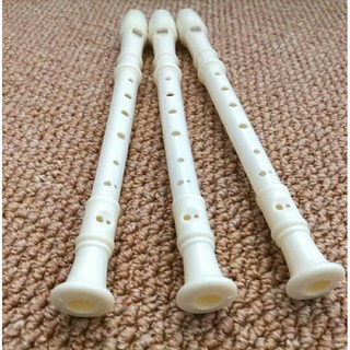 Sáo recoder 8 lỗ - học sinh