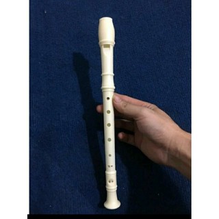 Sáo recoder 8 lỗ - Học Sinh (có túi đựng, que vệ sinh)