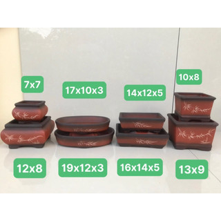 Combo 8 chậu bonsai cây cảnh sen đá mini màu đỏ SP647