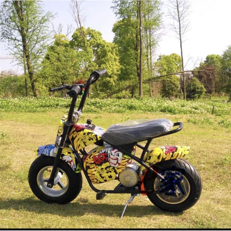 Xe moto điện mini 350W