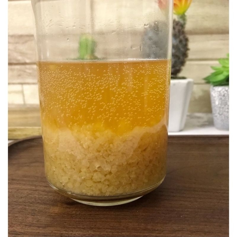 Combo Nấm Nước Kefir Đầy Đủ:Nấm + Rây Nhựa+ Hũ Thủy Tinh Nuôi 1L +Thìa Nhựa +Khăn Xô+Dây Chun+Tờ Hướng Dẫn Nuôi Chi Tiết