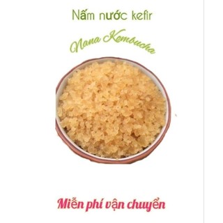 Combo Nấm Nước Kefir Đầy Đủ:Nấm + Rây Nhựa+ Hũ Thủy Tinh Nuôi 1L +Thìa Nhựa +Khăn Xô+Dây Chun+Tờ Hướng Dẫn Nuôi Chi Tiết