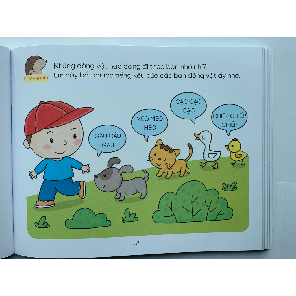 Sách thiếu nhi - Hỏi Đáp Thông Minh - Rèn Luyện Não Trái Não Phải