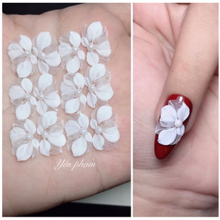 Hoa bột nail