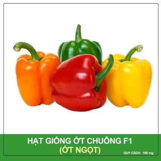 Hạt Giống Ớt Chuông Ngọt f1 Siêu trái💯 Dày Cơm, Dòn Ngọt cực năng suất