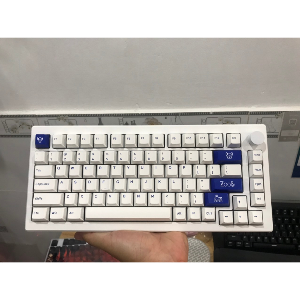 Bàn phím cơ AKKO MOD007 PC Blue on White  Tungcustom