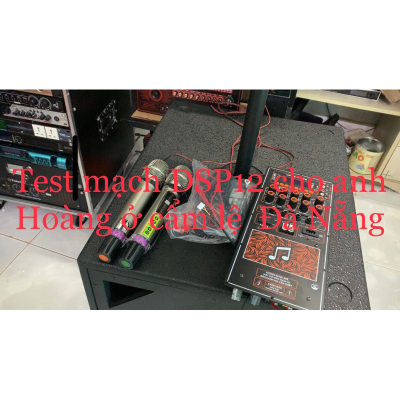 Mạch Loa Kéo DSP12