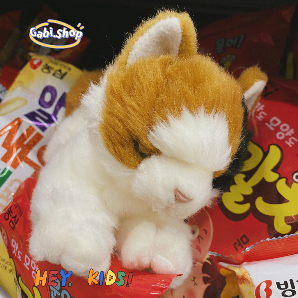 Mèo Bông Dễ Thương Esmeralda Cat