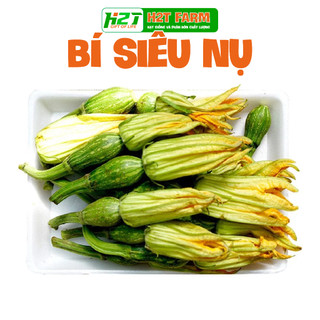 Hạt giống bí nụ ăn non lai f1, giống bí siêu nụ,