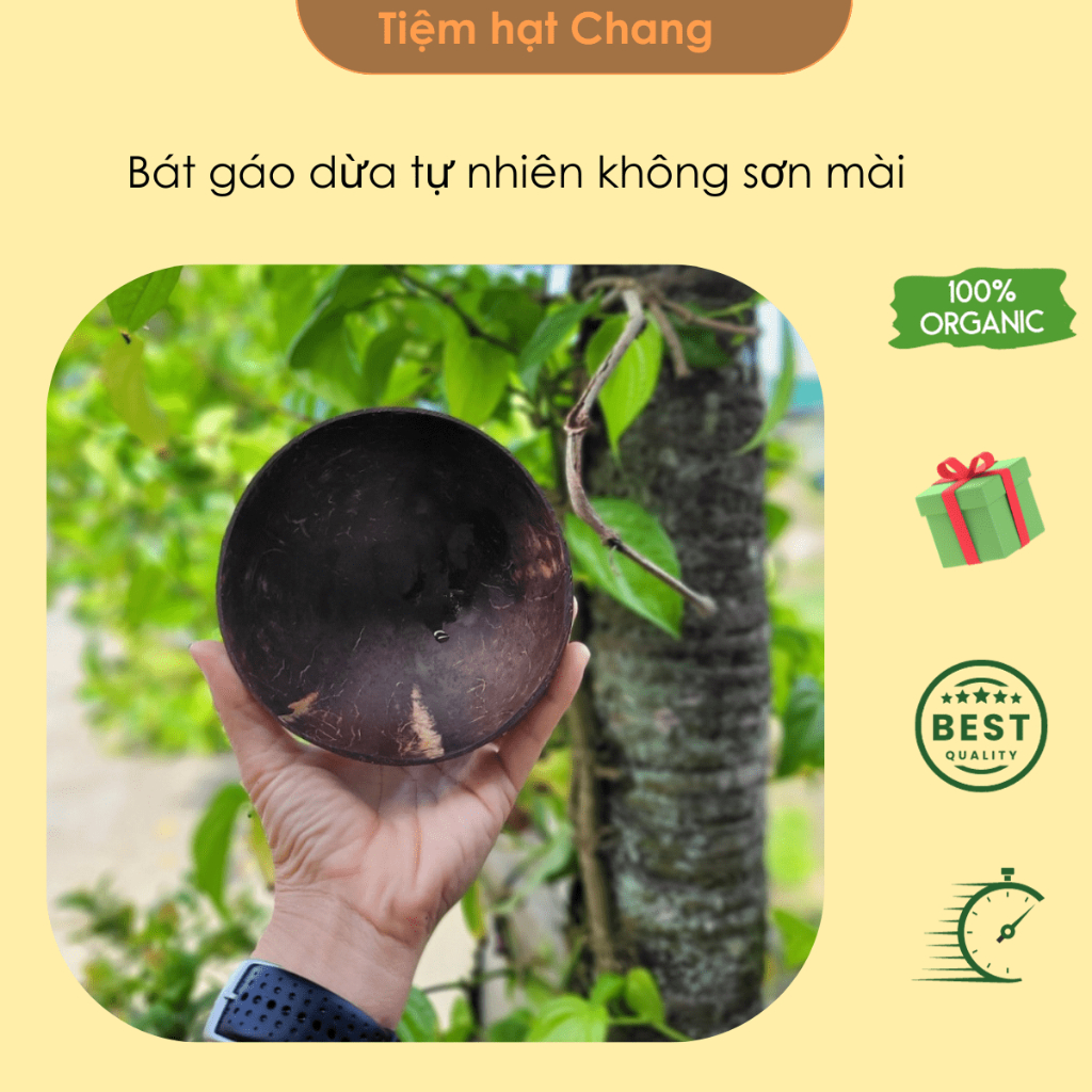 Bộ chén bát gáo dừa và thìa cao cấp dùng ăn granola Tiệm hạt Chang