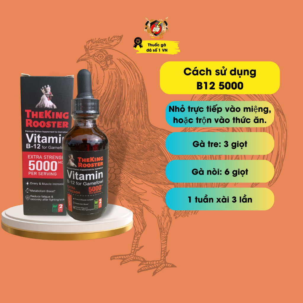 Thuốc gà đá, nước nuôi gà đá B12 5000, nhập chính hãng Mỹ giúp tăng cơ bắp, lên nước máu, nở khung xương.
