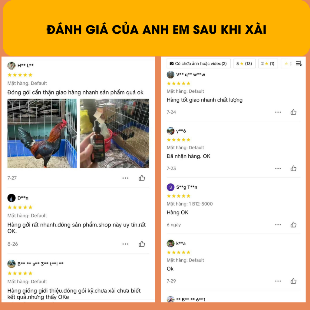 Thuốc gà đá, nước nuôi gà đá B12 5000, nhập chính hãng Mỹ giúp tăng cơ bắp, lên nước máu, nở khung xương.