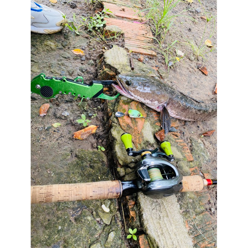 Nhái hơi Z35 bản chì đúc 2 action, nổi và lửng