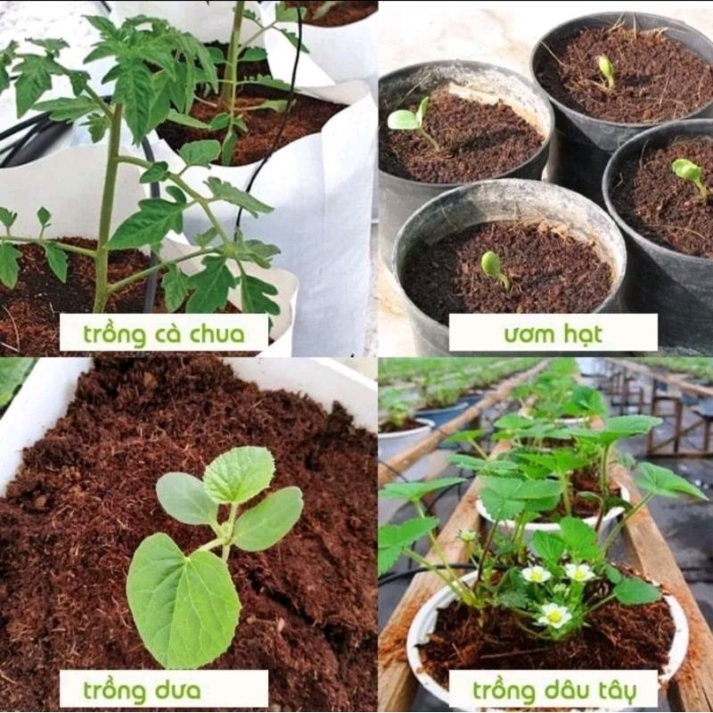 Viên nén xơ dừa - đất nén hữu cơ 600gr nở ra được 8lit mùn dừa