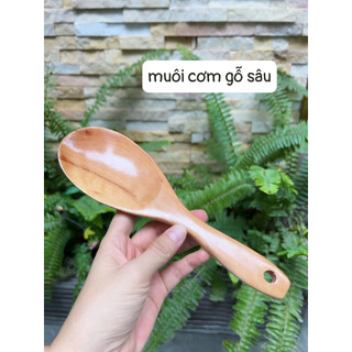 Muôi cơm gỗ nông/ sâu