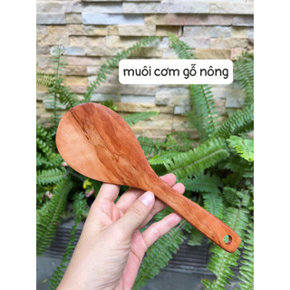 Muôi cơm gỗ nông/ sâu