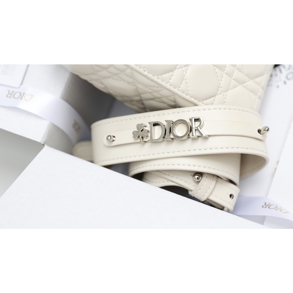 Tuí Xach Di.O laydy Size 20cm Tag bạc màu trắng