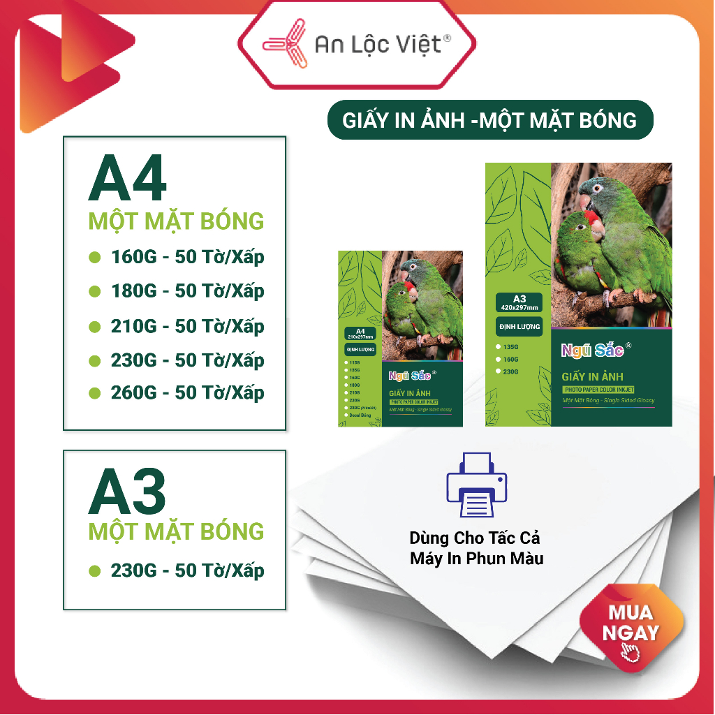 [GIẤY ẢNH CỰC HOT] Xấp = 50 Tờ Giấy In Ảnh A4 - A3 1 Mặt Bóng nhiều định lượng, in màu đẹp, bền màu