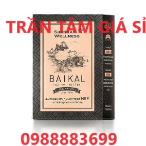 Thực phẩm bảo vệ sức khỏe Siberian Trà thảo mộc Baikal tea collection. Herbal tea №9 30 túi lọc