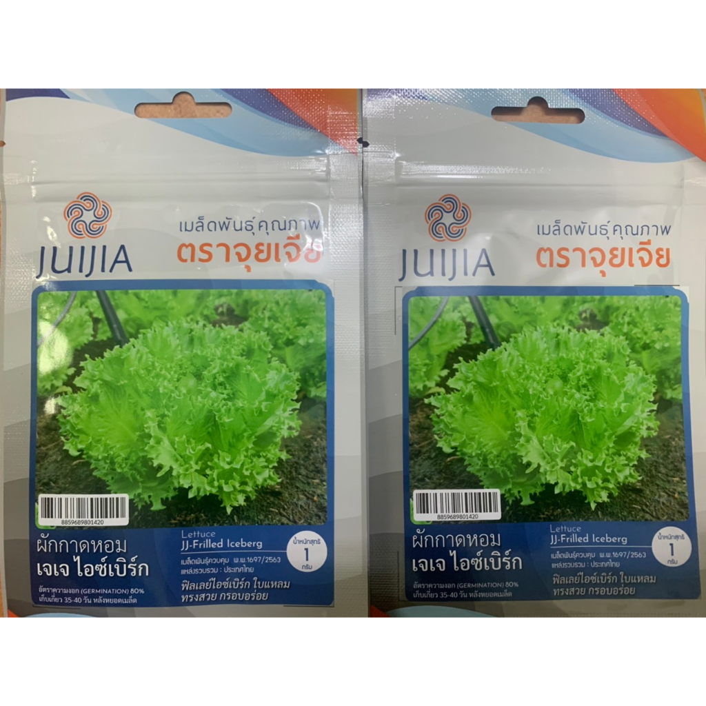 hạt giống xà lách thủy tinh thái lan nhập khẩu chính hãng