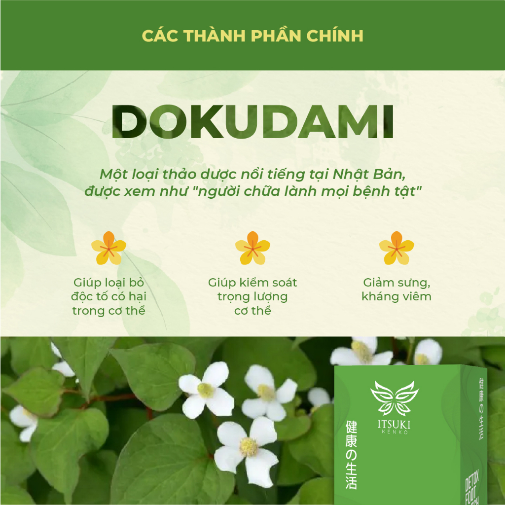 [Mua 1 tặng 1] Chính hãng 100% - Miếng dán thải độc chân Itsuki Kenko - 80 miếng/2 hộp