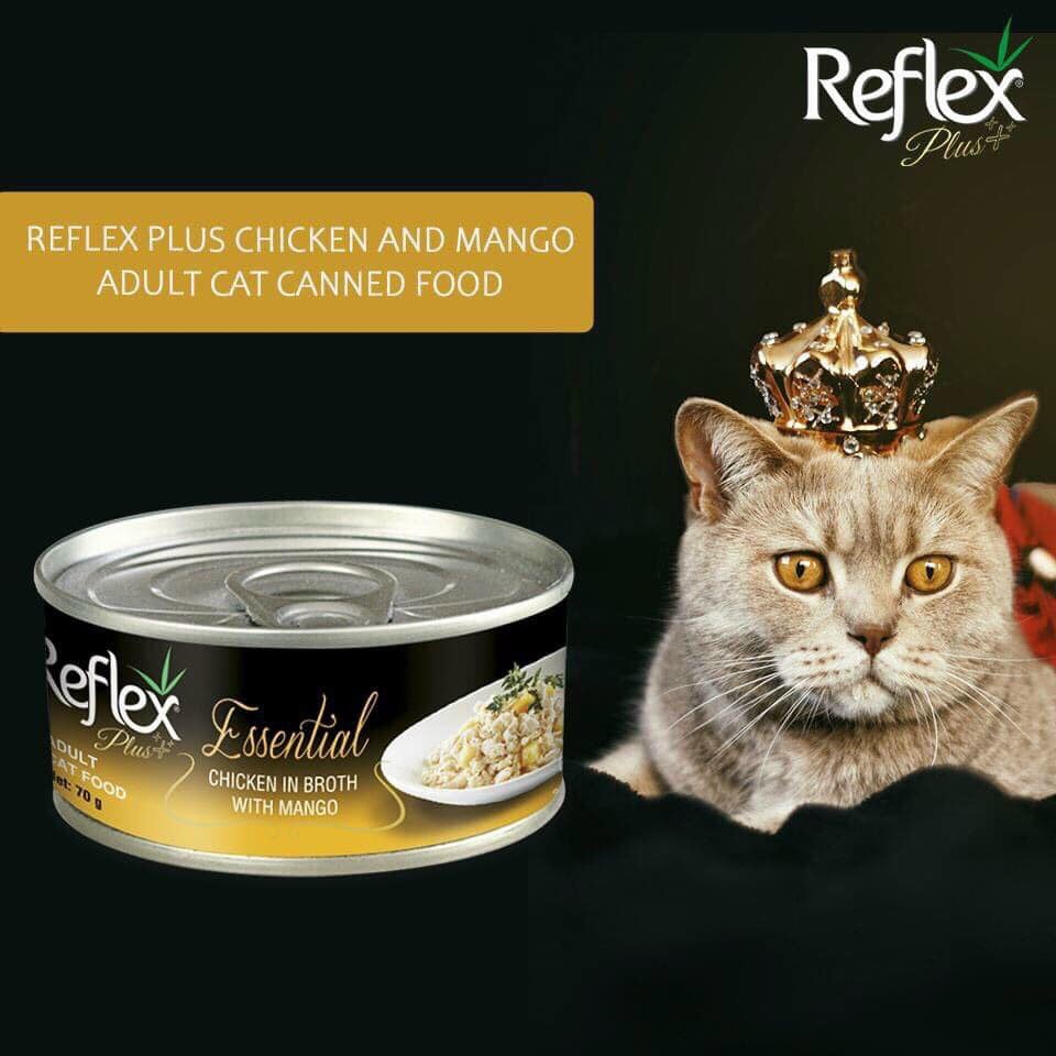 Pate King's Pet By Bảo Anh Lon Cao Cấp 80gr Với 8 Vị Hấp Dẫn Cho Mèo