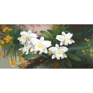 Tranh gắn đá toàn bộ tự làm - Hoa môc lan trắng
