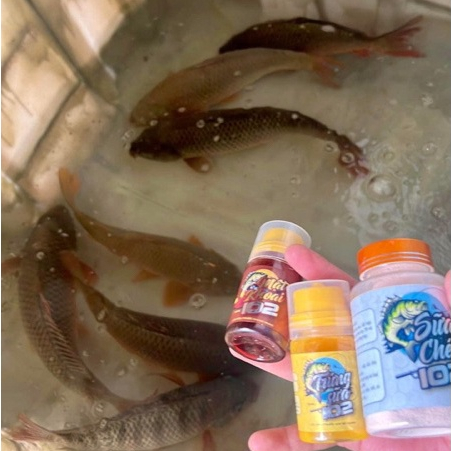 Combo tinh mùi câu chép , tinh mùi 102 sữa chép, mật khoai, trứng sữa