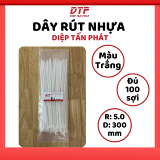 Túi 100 Sợi Dây Rút Nhựa Diệp Tấn Phát 30cm - 5.0x300mm