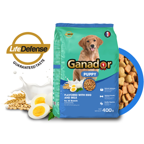 Thức Ăn Cho Chó Hạt Ganador 400g Nhiều Vị