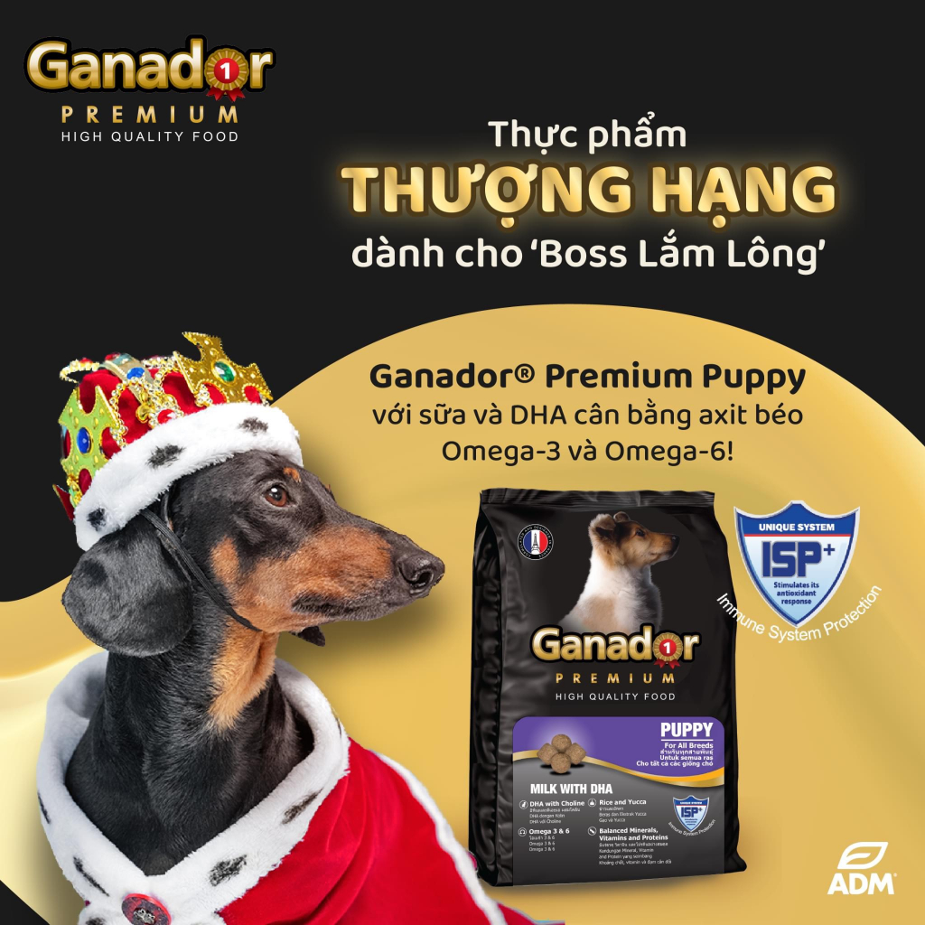 Thức Ăn Cho Chó Hạt Ganador 400g Nhiều Vị