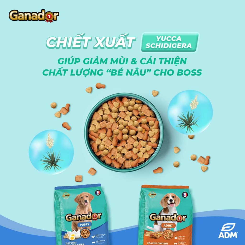 Thức Ăn Cho Chó Hạt Ganador 400g Nhiều Vị