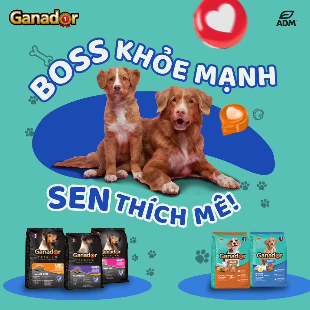 Thức Ăn Cho Chó Hạt Ganador 400g Nhiều Vị