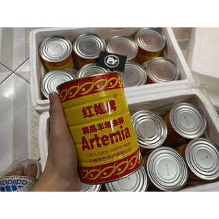 GIAO HỎA TỐC - 200GR - ARTEMIA LON VÀNG - TỶ LỆ 95% - DATE MỚI - BẢO HÀNH