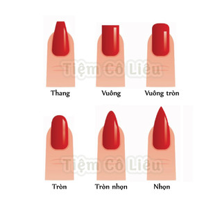 Nailbox tone pastel đính charm gấu