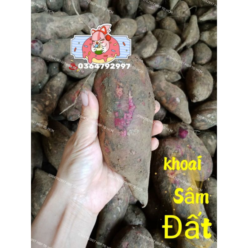 COMBO 4KG KHOAI SÂM ĐẤT VIỆT NAM