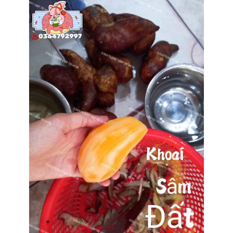 COMBO 4KG KHOAI SÂM ĐẤT VIỆT NAM