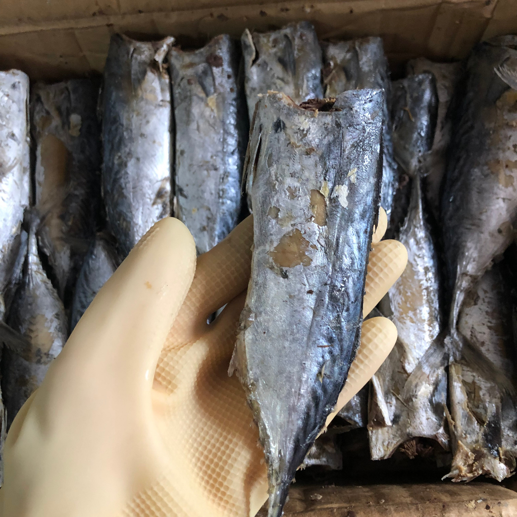 1Kg khô cá ngừ sấy mặn cỡ 14-16 con 1 cân