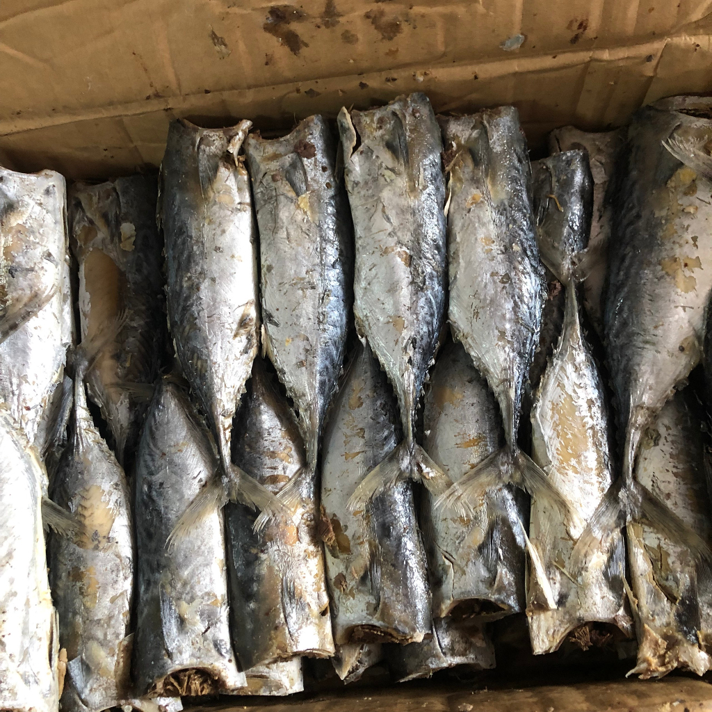 1Kg khô cá ngừ sấy mặn cỡ 14-16 con 1 cân