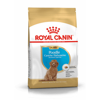 Thức ăn cho chó Royal Canin,chó poodle con 500gram