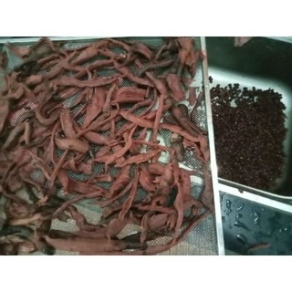 Hà thủ ô hầm đậu đen