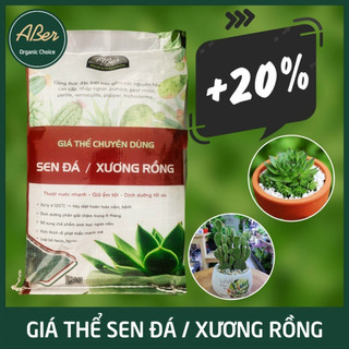 Bao aber đất trồng sen đá xương rồng-4kg