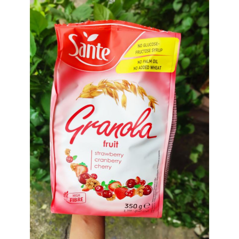 Ngũ cốc dinh dưỡng Sante Granola Fruit 300g